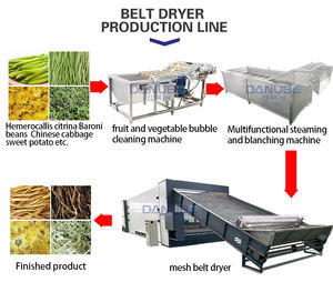 Sécheur à bande transporteuse continue OEM pour feuilles de Moringa, séchage à haute efficacité, sécheur d'herbes et de légumes - Product Image 6