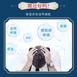 Patch médical OEM pour la thérapie de la prostate, à base de plantes, pratique pour la prostatite et les symptômes urinaires - Product Image 4