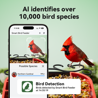 Mangeoire à oiseaux avec caméra, reconnaissance d'oiseaux par IA, énergie solaire, notification instantanée, enregistrement automatique des oiseaux en Full HD