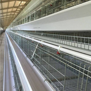 2025 venda quente equipamentos agrícolas AType gaiola animal para galinhas camada Hot Dip Galvanização <span class=keywords><strong>Material</strong></span> - Product Image 2