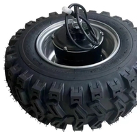 Moteur de moyeu servo de 16 pouces 1000W 100N.m 150N.m avec pneu tout-terrain et arbre en D