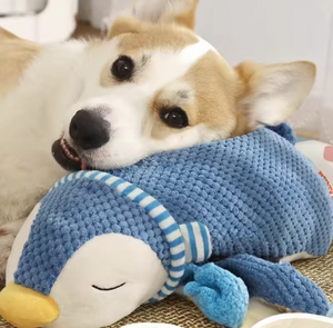 Çevre dostu pamuk peluş penguen köpek oyuncak-köpekler için interaktif diş taşlama oyuncak - Product Image 1