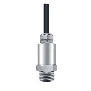 Advanced Hygienic Pressure Transmitter G1 2 420mA Ideal For Sanitary Pressure Measurement