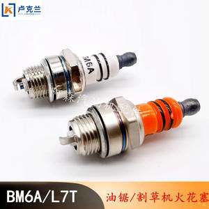 Bougies d'allumage mécaniques IK20TT/OE No 22401-ED815/BKR6E pour tondeuses à gazon, tronçonneuses et taille-haies à deux temps - Product Image 2