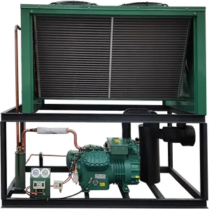 4DES-5HP Koelcompressor Unit Open Type Zuiger Luchtgekoelde Condensor Van Bitzer Voor Bevriezing Koeling Koude Kamer