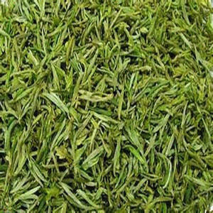 Factory Wholesale Huangshan Maofeng <strong>Green</strong> <strong>Tea</strong> High Quality Mountain <strong>Tea</strong> Custom Packaging-Box Bag Sachet Cup Bottle Certified - Product Image 2