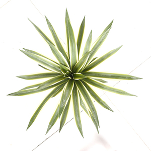 Hermosa <span class=keywords><strong>espada</strong></span> lily gladiolo 65cm borde blanco plantas artificiales en el interior - Product Image 1