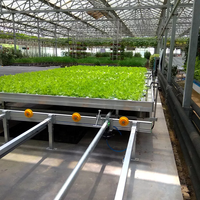 Grands bancs logistiques entièrement automatiques pour légumes et plantes Banc roulant stable Film d'aluminium Serres agricoles