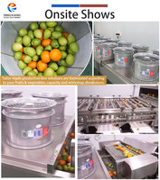 Machine voor het wassen, drogen en sorteren van mandarijnen, raap, tomaten, aardappelen en appels. Op maat gemaakte verwerkingsoplossingen voor groenten en fruit.