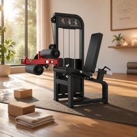 Machine multifonctionnelle professionnelle à charge libre pour salle de sport : Machine à curls et extensions assises, et presse à jambes