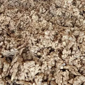 Chinese Air Dried Ginger Supplier With Competitive Price Factory Direct Sale Fresh Ginger