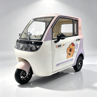 Tricycle Électrique à Trois Roues Neuf, Véhicule Énergétique, Tricycle Électrique Fermé pour Passagers, Prix de Gros