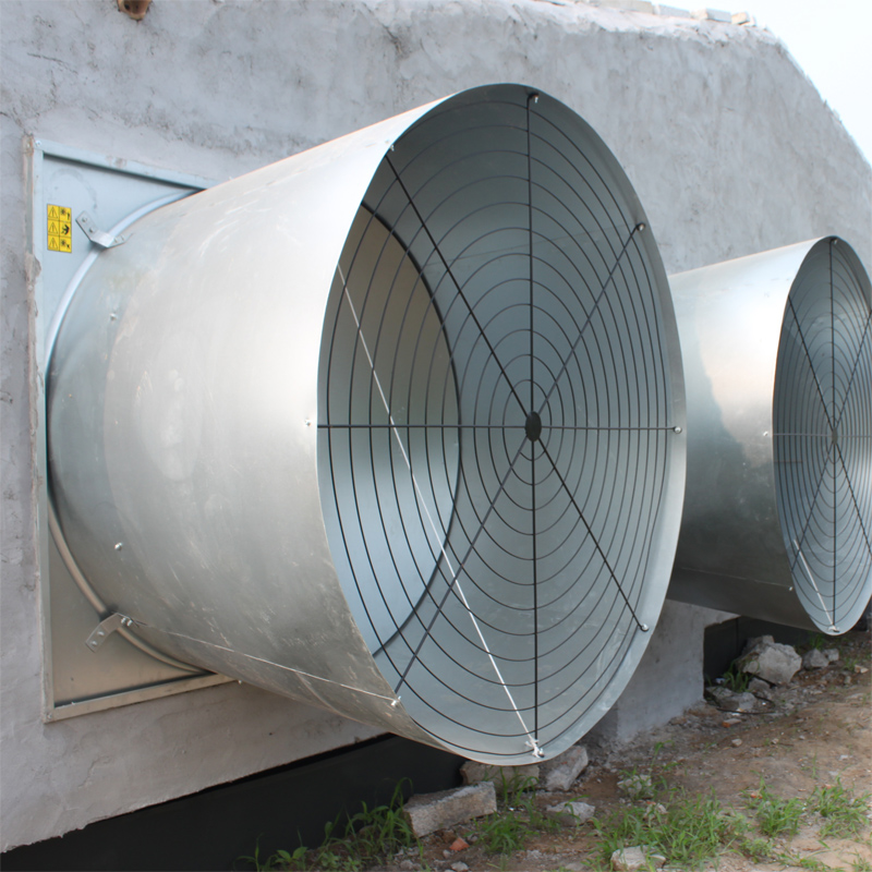 Automatic broiler / chicken / poultry pan feeding line