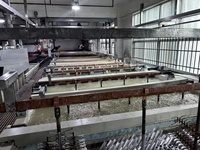 Équipement d'anodisation automatique industrielle en aluminium de conception usine, type support à rail, contrôlé par PLC, technologie de placage par ultrasons