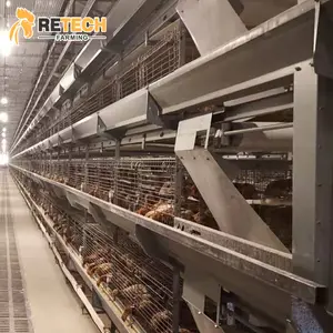 Durable Fully Automatic Multi Tiers H Type Pullet Rearing Chicken Cage for Poultry Laying Hens Chicks