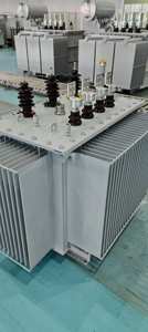 Transformateur de puissance immergé dans l'huile Sanding SCB11-800/10.5, trois phases, 50Hz, 800KVA, 10.5KV, livraison directe usine, économique et de bonne qualité - Product Image 3