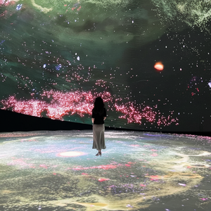 Pantalla LED 3D Interactiva para Video Wall en Centros Comerciales Interiores, Metro, Aeropuerto, Pantalla Publicitaria Personalizada a Todo Color - Product Image 1