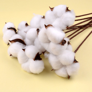 KEWEI 680 Golden Supplier Artificial Natural Dried Flower <strong>Cotton</strong> Dried <strong>Cotton</strong> <strong>Stems</strong> Natural Flower - Product Image 1