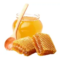 Premium Mason Dark Amber Manuka Honey dall'australia e New Fresh and Pure Max Black KOSHER Packaging HMF Plastic Color Country