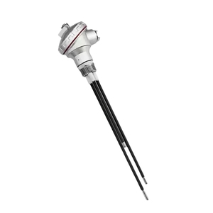 इलेक्ट्रोड प्रकार तरल स्तर गेज 316 इलेक्ट्रोड सीट तरल स्तर सेंसर 304 स्टेनलेस स्टील इलेक्ट्रोड टाइटेनियम जांच - Product Image 5