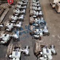 Vanne de régulation à corps sphérique CF8M, classe 150, DN100, avec garniture à joint, actionneur électrique à variation proportionnelle, 4-20mA HART, pour traitement de l'eau, direct usine