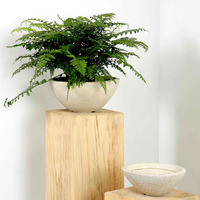 Pot de fleurs en terre cuite de magnésium de style nordique simple, forme bol, très grande ouverture, pour plantes vertes, salon, balcon, bonsaï, Chine, vert simple