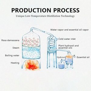 Hidrolato de Aloe Vera Orgánico Natural, Bruma Refrescante de Agua de Aloe para Todo Tipo de <span class=keywords><strong>Piel</strong></span> - Product Image 6