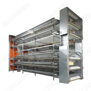 Cage à poules à plusieurs niveaux avec moins de 1 % de perte et mangeoire à alimentation sécurisée <span class=keywords><strong>pour</strong></span> les fermes avicoles commerciales - Product Image 2