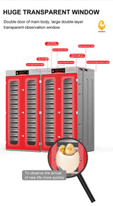 WONEGG HHD Incubadora de Huevos de Diseño Innovador con Capacidad para 4000 Huevos, Máquina de Incubación para Pollos de 110v con Puerta de Vidrio - Product Image 6