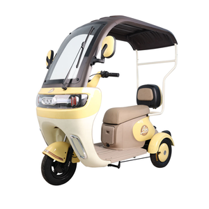 Tricycle électrique à 3 roues pour passagers, moteur 1000W, 2 places, auvent pour personnes âgées, homologué CE, tension 48V, type de carrosserie ouverte - Product Image 2