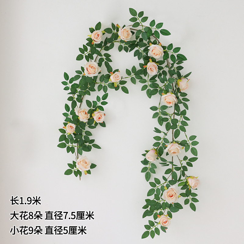 rose vine champagne color