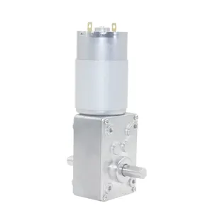 aslong dc motor with spur A58SW-555S 12v worm gear reducer 24v High Torque 70kg Self-lock 470rpm Double Shaft Reduction Machine