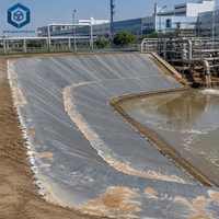 Fabricant professionnel de revêtements en HDPE, fournisseurs de géomembranes en HDPE, revêtement de bassin en HDPE pour les plateformes de lixiviation en hauteur