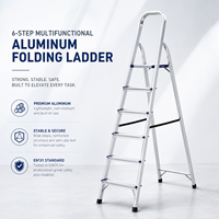 Échelle télescopique pliante en aluminium multi-usages OEM à 6 marches, conforme à la norme EN131, pour les travaux de construction domestique