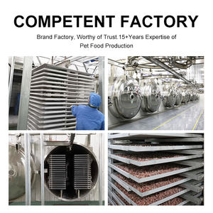 הסיטונאי גבוה חלבון oem אודם להקפיא לבבות עוף יבש עוף לחתול מזון לחיות מחמד לכלבים ניזונים מחטיפים לחתולים שיניים - Product Image 6