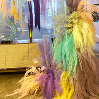 Ewige Drachenblüten: Konservierte Trockenblumen für Zuhause, Hochzeit, Valentinstag, Muttertag, Abschlussfeier, Neujahr, Ostern