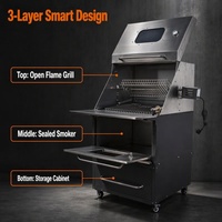 Parrilla de Carbón para Asar y Ahumar con Ventana de Visualización Doble, Termómetro Doble, 75 cm, Acero Inoxidable, Asador Eléctrico, Cocina Exterior