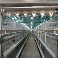 Cage d'élevage de poulets de type H, cage de couvaison pour poulettes, système d'alimentation et d'abreuvement automatique par abreuvoir, acier galvanisé à chaud