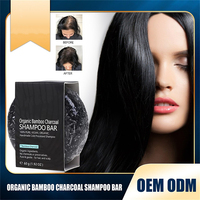 Barres de shampoing et revitalisant solides 2-en-1 nourrissantes, marque privée, écologiques, sans sulfate, biologiques, au Polygonum, faites à la main, unisexe