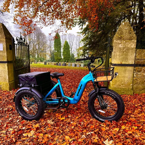 Tricycle électrique à 7 vitesses avec capteur, batterie lithium 48V 15Ah, moteur 250W, pneus larges, 3 roues, vélo électrique, stock UK - Product Image 6