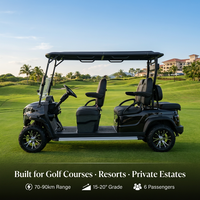 Carrito de Golf Eléctrico de 6 Plazas con Certificación CE Tarion, 60V, 35KM/H, 90km de Autonomía, Neumáticos Todoterreno de 14 Pulgadas, Color Personalizable