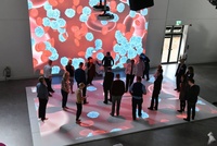 Jeux de Projecteur Interactifs pour Aires de Jeux Intérieures pour Enfants, Projection Murale Interactive pour Parcs de Jeux pour Enfants