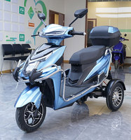 10 Inch Electric Motorcycle Tricycle 500/650/800W/1000W 30km/h Speed Electric Tricycle for Adults Disabled