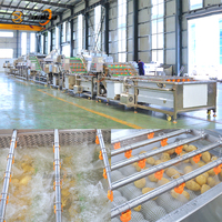 Automatische gember-groentewasmachine, industriële paprika-reiniger, appelwasser, passievrucht reinigings- en drooglijn