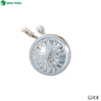 Lampes LED à pixels RVBW intelligentes programmables SHIJI DC24V 60mm UCS7604, 65536 niveaux de gris, adressables, type cabochon