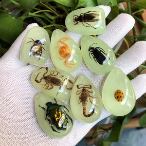 Pendentif spécimen d'insecte véritable ambre phosphorescent boîte aveugle archéologique pour enfants accessoires résine insecte ambre dessin animé - Product Image 2