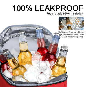 Insulated Lightweight Polyester <b>Cooler</b> <b>Backpack</b> 24L Waterproof Travel Lunch Bag for Hiking - Product Image 5