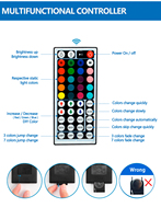 SX Ventes directes d'usine 44 touches IR Télécommande 5M SMD5050 Simple IP65 Étanche En Plastique LED Bande Lumineuse RGB Ensemble pour Entrepôt