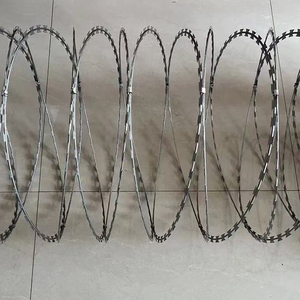 Protezione di sicurezza per sottostazioni elettriche e strutture chiave: Filo spinato antifurto per pareti esterne anticorrosione - Product Image 5