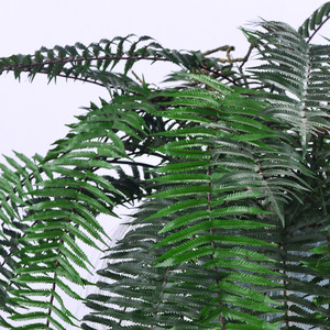 Plante verte artificielle <span class=keywords><strong>murale</strong></span> de 180 cm, type fougère persane et feuille de sycomore, en caoutchouc souple, haute simulation, écologique, prête à l'emploi (RTS) - Product Image 4